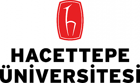 Hacettepe University